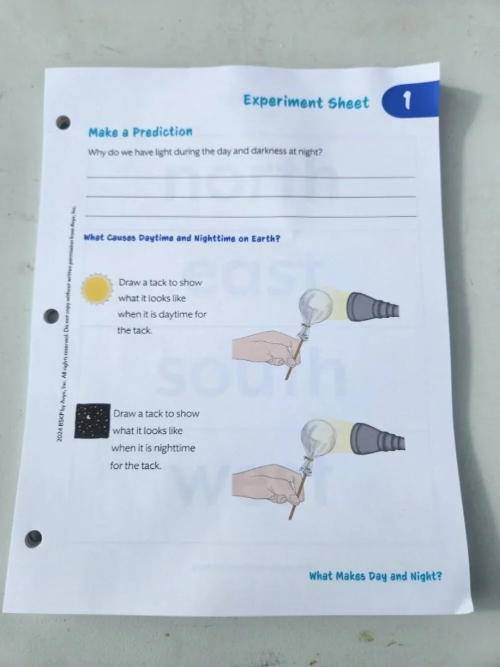NEW BookShark Book Shark Science B Experiment Paper Packet Worksheets Homeschool